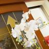 Hotel Alla Botte,Caorle>>Aviano,3 star