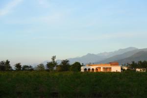 focacia bnb