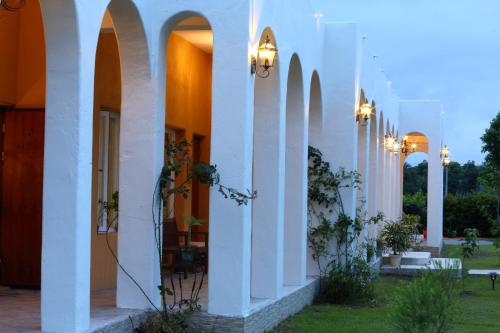 focacia bnb