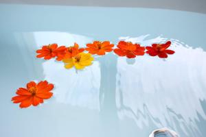 focacia bnb