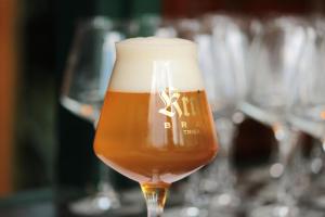 hotel blesius garten