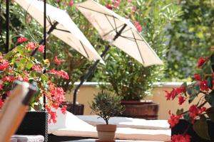 hotel blesius garten