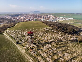 wine wellness hotel amande