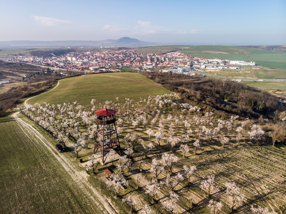 wine wellness hotel amande