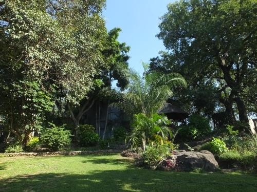 tatenda guesthouse