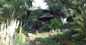 tatenda guesthouse