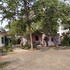 bandhogarh