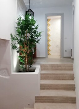 aphrodite luxury apartment