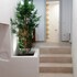 aphrodite luxury apartment
