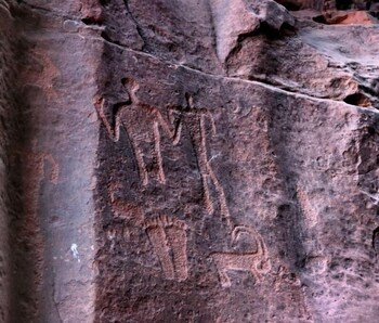wadi rum desert bedouin life