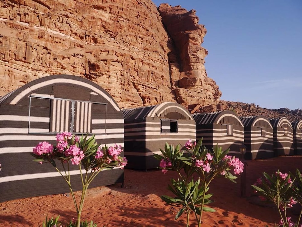 ali wadi rum moon camp