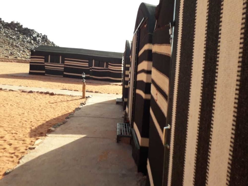 ali wadi rum moon camp