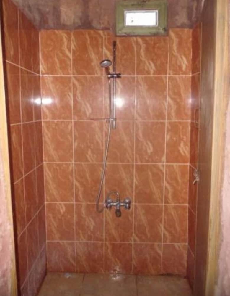 ali wadi rum moon camp