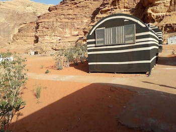 ali wadi rum moon camp