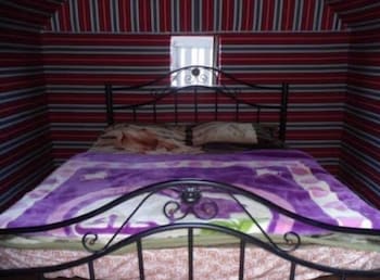 ali wadi rum moon camp