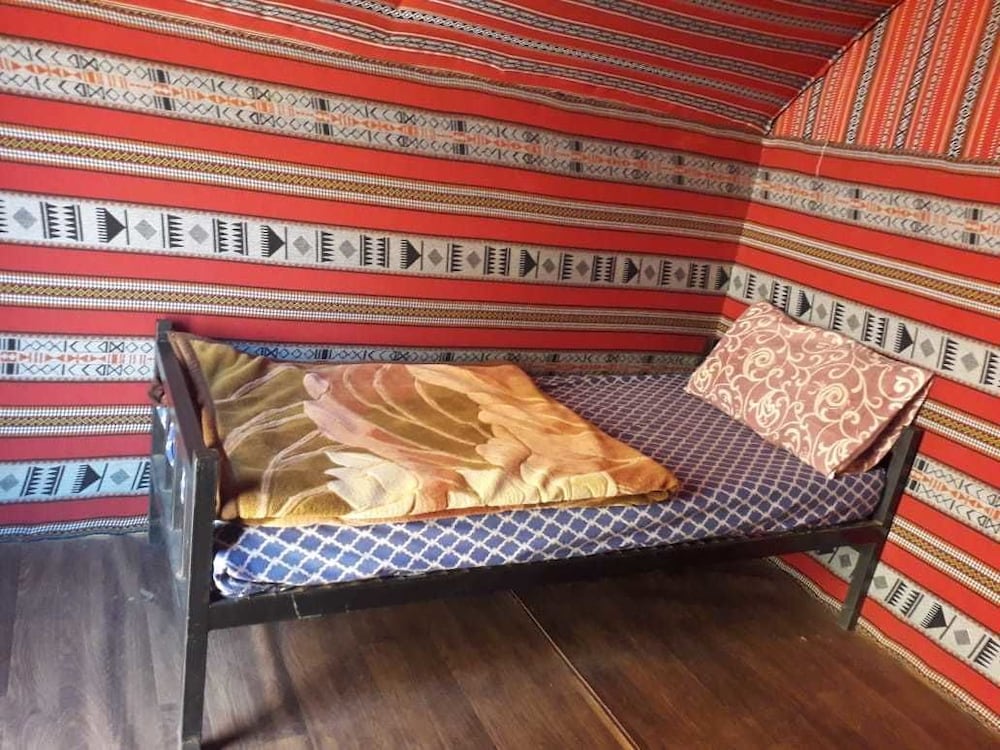 ali wadi rum moon camp