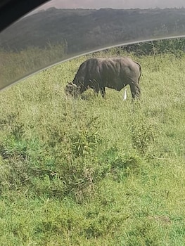 joy comfort homestay