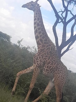 joy comfort homestay