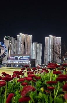 daylight lagomar pension