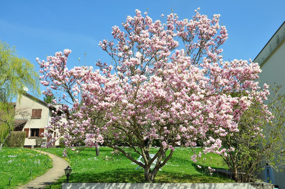 le relais de la vallee