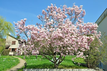 le relais de la vallee