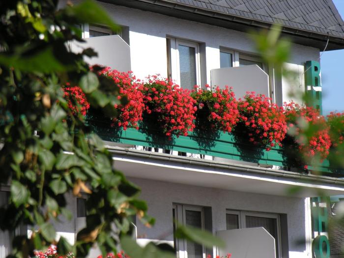 rheinhotel rudesheim wellness