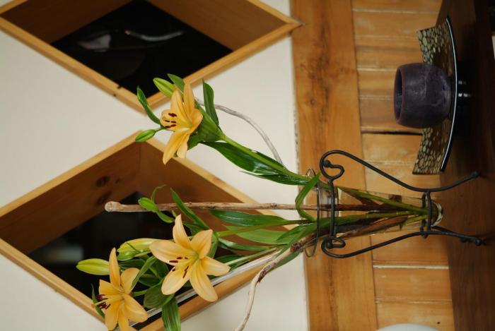 casa kalfu hotel boutique