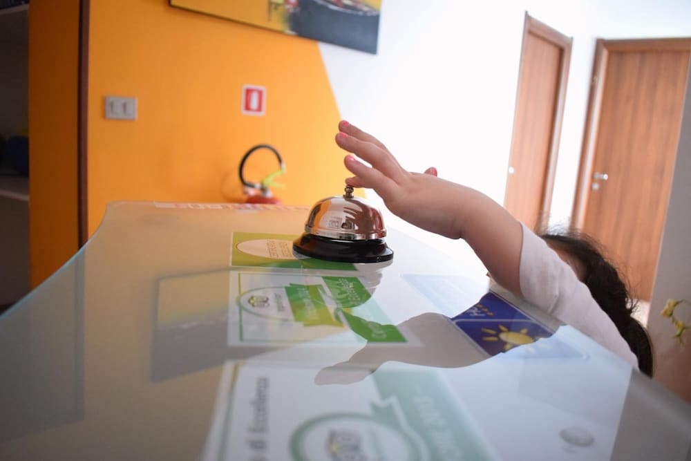 actinia accomodation