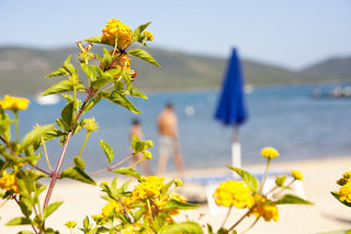 Hotel Corte Rosada Resort & Spa - Adults Only,Porto Conte>>Alghero,4 star