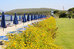 hotel corte rosada resort and spa adults only