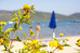 hotel corte rosada resort and spa adults only
