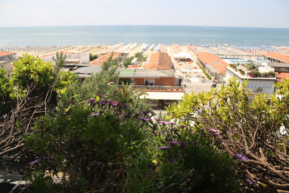 viareggio