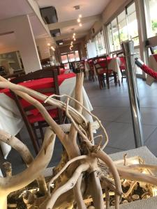 pfa hotel la darsena