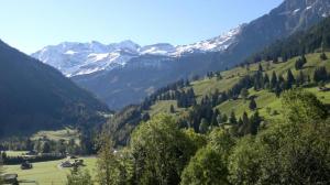 Hotel Baeren,,2 star