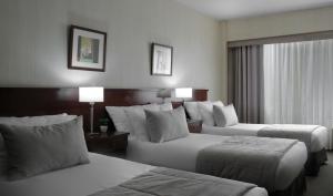 hotel 8 de octubre