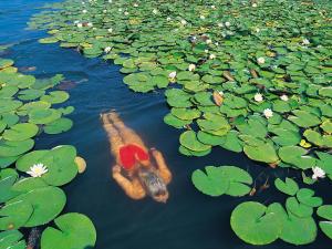 barry memle lake side resort