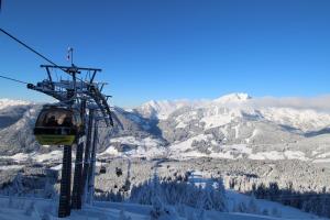 russbach am pass gschuett