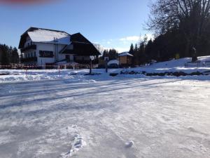 jera am furtnerteich