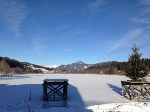 jera am furtnerteich