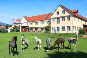 Jufa Hotel Pollau - Bio Landerlebnis,Krumbach>>Graz,3 star
