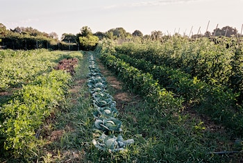 la posta vecchia hotel