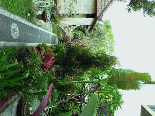 dewa put guest house