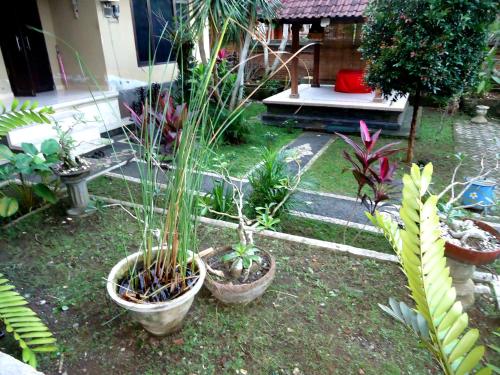 dewa put guest house