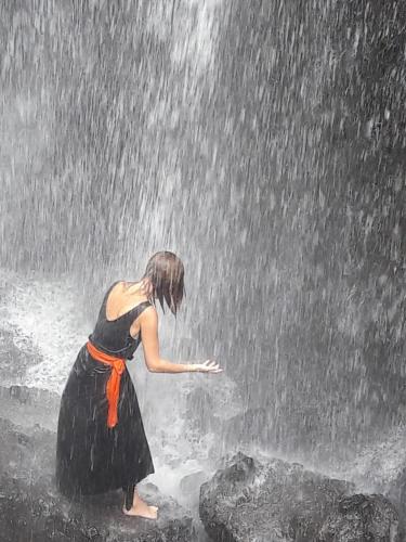 dewa put guest house