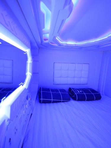 spacepod hive