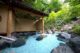 ogoto onsen yumotokan ryokan