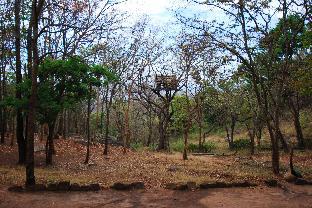 K Gudi Wilderness Camp-Jungle Lodges,Bengaluru>>Begur,3 star