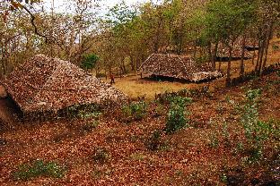 K Gudi Wilderness Camp-Jungle Lodges,Bengaluru>>Begur,3 star