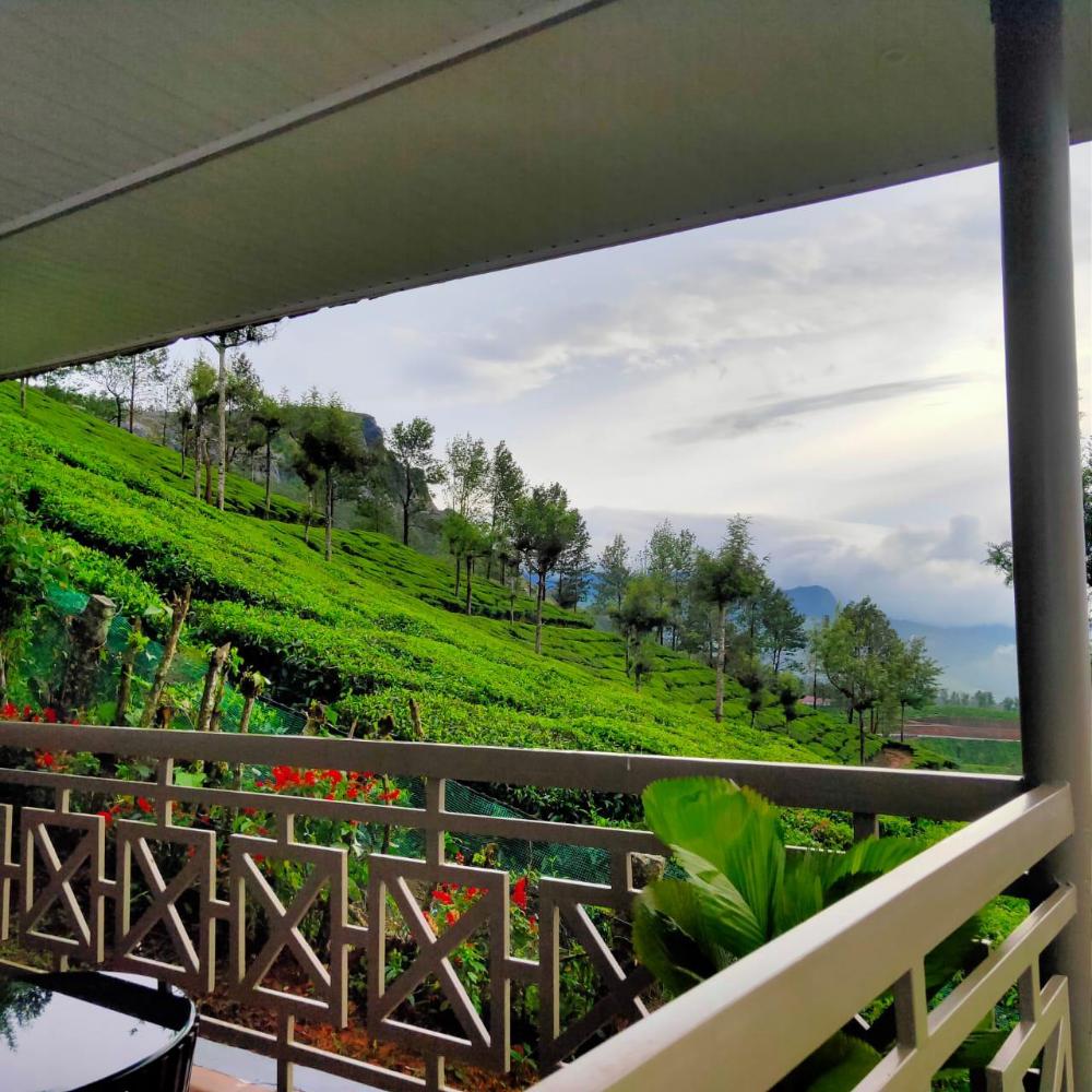 misty courtyard resort