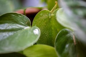 hotel indigo brussels city by ihg